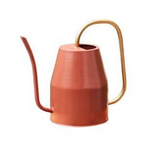 Allen + Roth Auburn and Gold Metal Traditional Watering Can